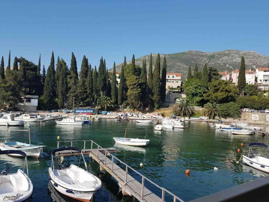 Lovely Split Level Apartment With Sea View, Pool, Free Parking And Wifi Cavtat Extérieur photo